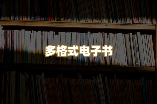 多格式电子书